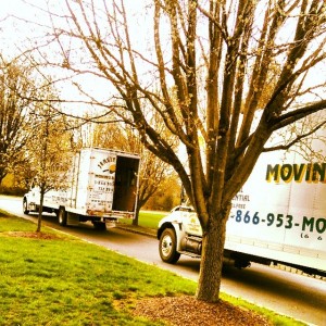 Moving & Storage Services Interlaken
